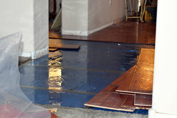 Professional Flood Damage Restoration technician working in Luttrell, TN